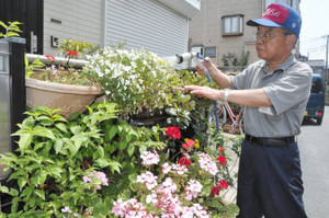「ちょこっと手助けサービス」で花に水をやる柏倉定男さん＝埼玉県草加市で