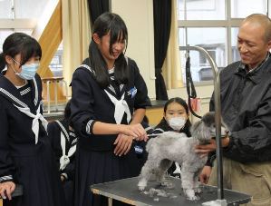 トリマーの仕事を体験する生徒＝神戸町末守で