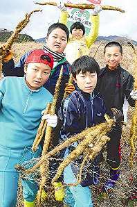 採れたジネンジョを自慢する子どもたち