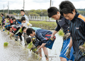 田植えに取り組む「ＦＣアヴェニーダソル」らのメンバー＝伊賀市柘植町で
