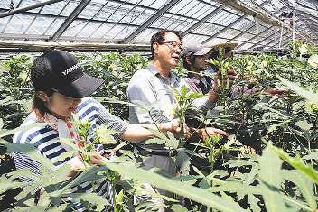 温室で作業する酒井さん（左から２人目）ら。障害者らを雇い、有機野菜を育てている＝武豊町二ツ峯で