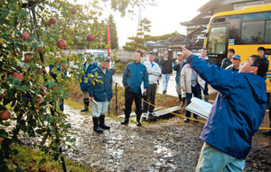 リンゴの栽培場を見学する参加者ら＝南砺市上川崎で