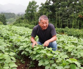 丹沢山麓の畑で、青々とした大豆の葉に目をやる広瀬清彦さん＝神奈川県秦野市で