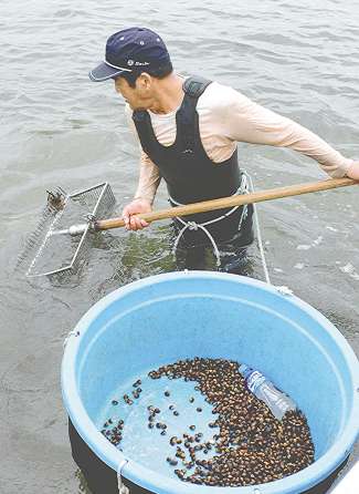 腰まで水に漬かりシジミ漁をする藤城建二さん＝豊橋市下地町で
