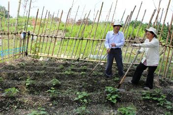 サツマイモ畑で作業する酒井謙二さん㊧、恵子さん夫妻＝岐阜県養老町で