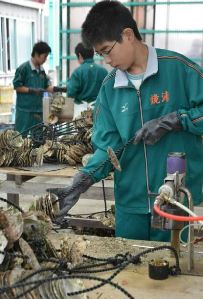 養殖用ロープにくぎを打ち込むなどの作業を体験する鏡浦中の生徒ら＝鳥羽市浦村町の共栄物産で