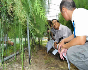 アスパラ畑に入り、寺沢さん（右）から秋冬の管理法を聞く塾生＝飯田市で