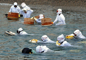 御潜（みかづき）神事で、アワビを採りに海へ向かう海女＝７月、三重県鳥羽市国崎町の前の浜で
