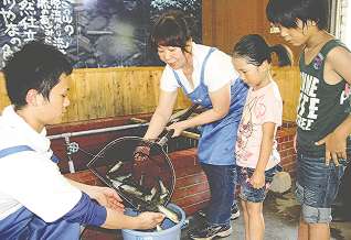 子どもたちが見守る中、アユをいけすからすくい上げるおかみの梅村さん（左から２人目）と天野さん（左）＝岡崎市の男川やなで