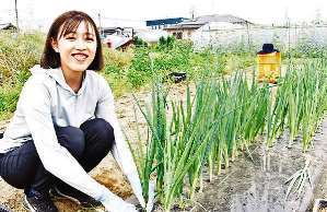 契約する農園で作業を手伝う桜井莉加子さん＝愛知県江南市で