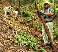豪雨で荒れた散策路の倒木や石を片づける就業者たち＝菰野町千草で